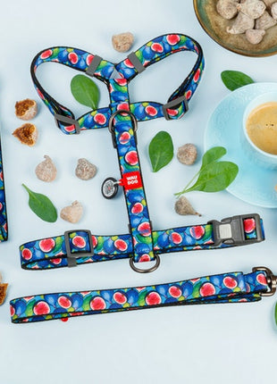 Collar WauDog Nylon Obroża nylonowa z QR-paszportem, plastikowy fastex, wzór FIGA, M 20mm/28-40cm