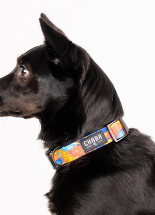 CHABA Obroża regulowana Story III XL Aussie