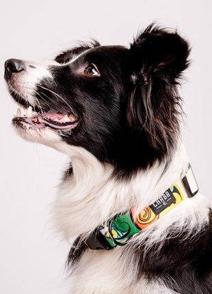 CHABA Obroża regulowana Story III M Jumbo