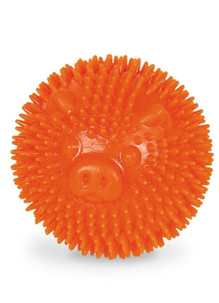 Nobby TPR Noppen Ball Pig - 6,5cm