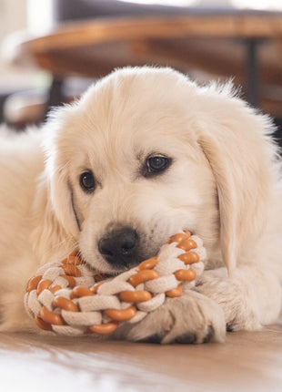 Beeztees Puppy Dental Seilring Mik