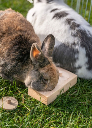 Trixie Snack Box für Vögel und Kleintiere
