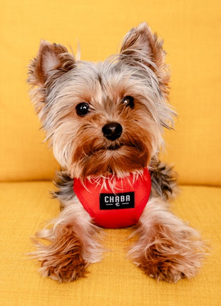 CHABA Szelki Guard Comfort Classic S czerwone