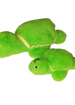 Gor Hugs Baby Tortoise