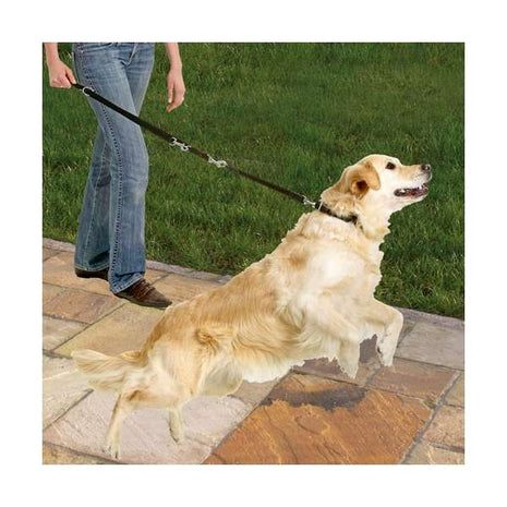 Karlie Protector Plus Hundebremse