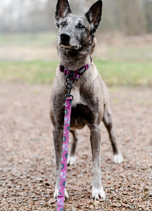 CHABA Smycz regulowana Story III L 25mm/260cm Lakota