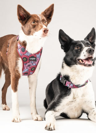 CHABA Obroża regulowana Story III M Lakota