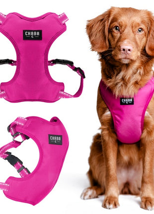 CHABA Szelki Guard Comfort Classic S fuksja