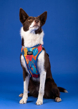 CHABA Szelki Guard Comfort Story III bezuciskowe S 1,6cm Aussie