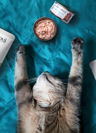 Amanova Cat Chicken & Tuna - kurczak i tuńczyk w bulionie puszka 70g [05]