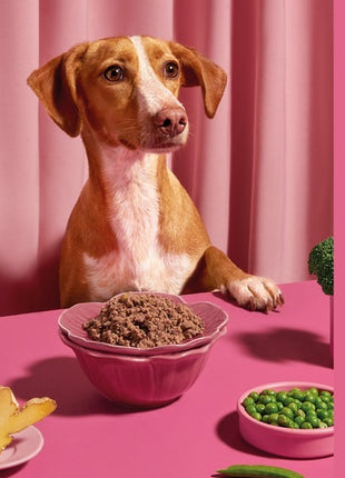 Amanova Dog Adult Tasty Salmon & Turkey - łosoś i indyk saszetka 100g [P06]