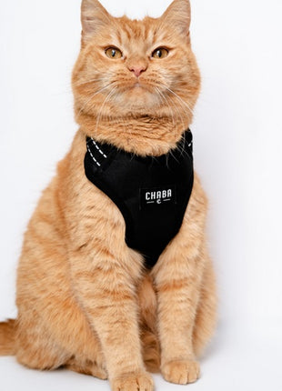 CHABA Szelki Guard Comfort Classic XL czarne