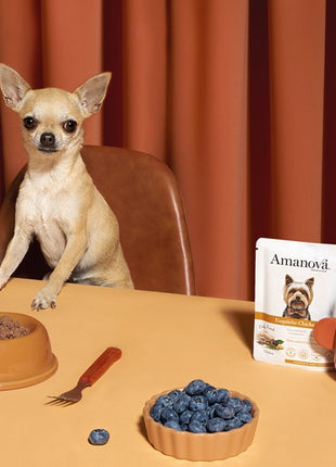 Amanova Dog Adult Exquisite Chicken - kurczak saszetka 100g [P03]