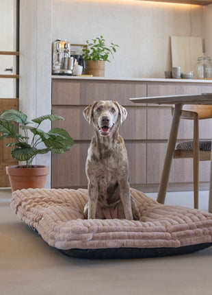 Designed by Lotte Hundekissen Reza