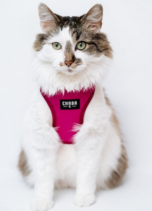 CHABA Szelki Guard Comfort Classic L fuksja