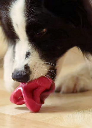 PetDreamHouse Zabawka gumowa Geo-Astro Rolly czerwona