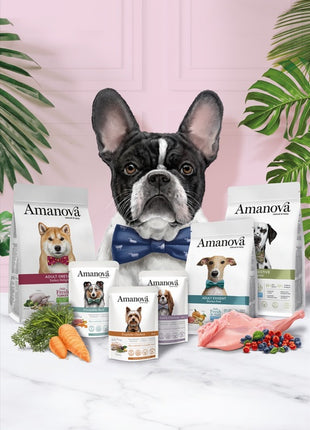 Amanova Dog Adult Mini Exigent Iberian Pork - wieprzowina 800g