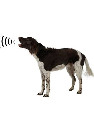 Hundeberuhiger Ricko HB 100