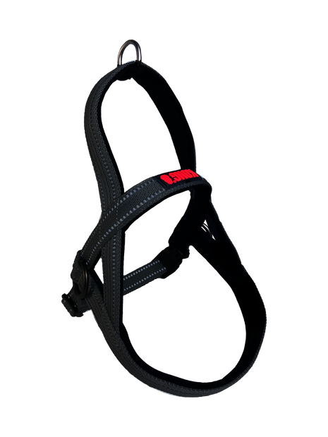 KONG Norwegian Harness