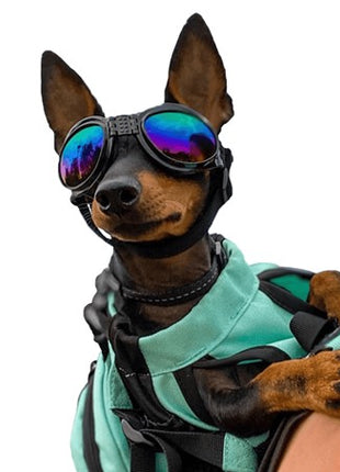 K9 Sport Shades Hondenzonnebril – afbeelding 3