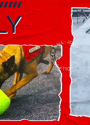 Jolly Soccer Ball Groen