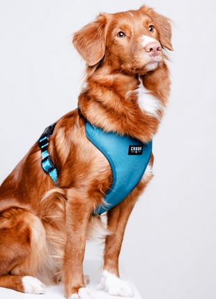 CHABA Szelki Guard Comfort Classic S morskie