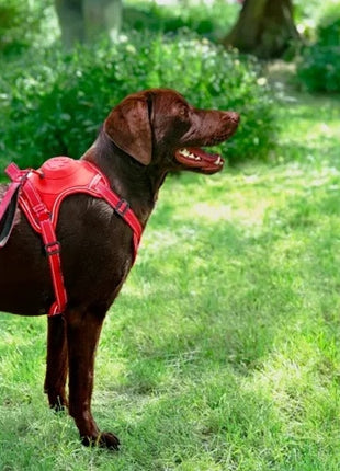 Zolux Szelki ze smyczą automatyczną Easyride XS czerwone