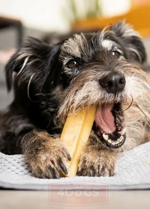 4DOGS Gryzak z sera himalajskiego Churpi Original L