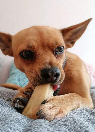 4DOGS Gryzak z sera himalajskiego Churpi Original L