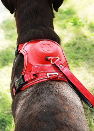 Zolux Szelki ze smyczą automatyczną Easyride XL czerwone