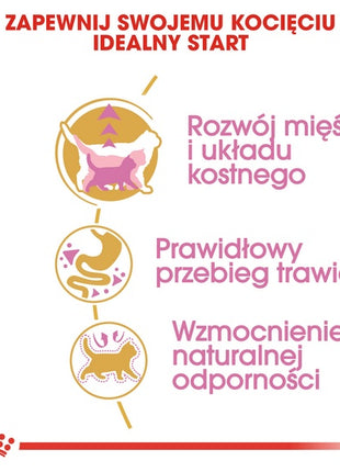 Royal Canin British Shorthair Kitten karma sucha dla kociąt, do 12 miesiąca, rasy brytyjski krótkowłosy 400g