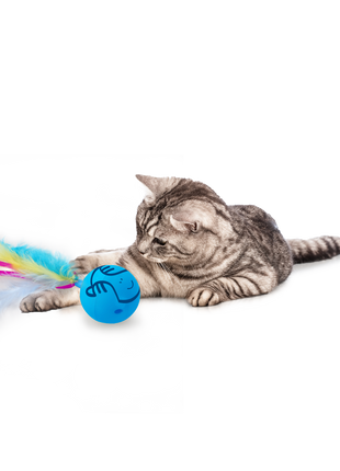 AFP Modern Cat Dizzy Spinner