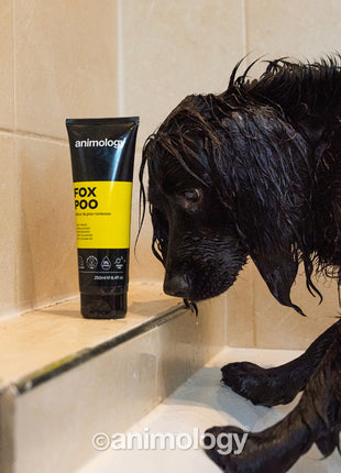 Animology Fox Poo Dog Shampoo 250 ml
