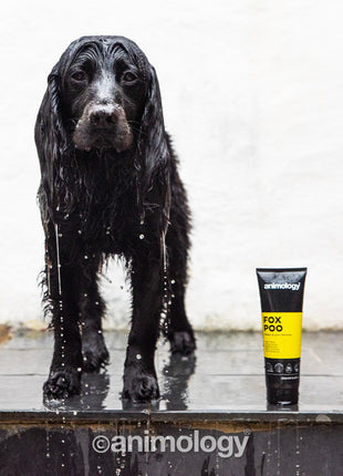 Animology Fox Poo Dog Shampoo 250 ml