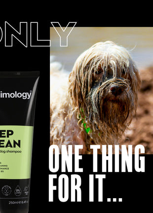 Animology Deep Clean Intensive Dog Shampoo 250 ml