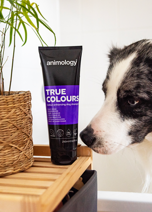 Animology True Colours Dog Shampoo