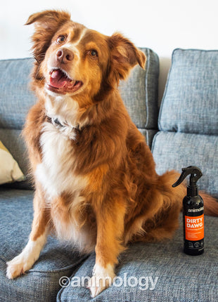 Animology Dirty Dawg No Rinse Dog Shampoo 250 ml