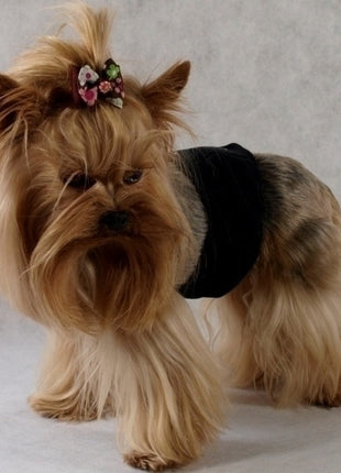 Grande Finale Pampas czarny - majtki dla samca rozmiar 1 [PA1/1]