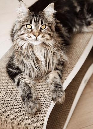 MyKotty Drapak Lui biały