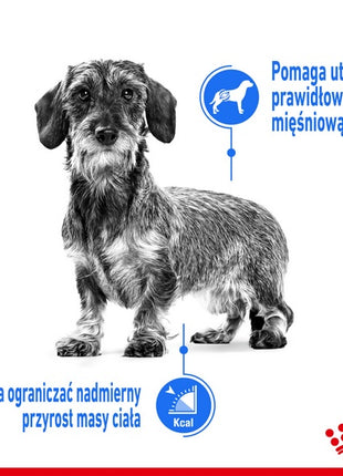 Royal Canin Mini Light Weight Care karma sucha dla psów dorosłych, ras małych z tendencją do nadwagi 3kg