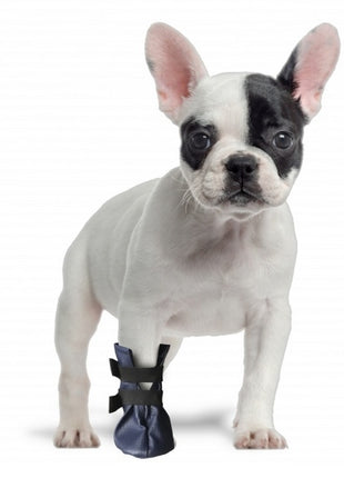 Grande Finale But na chorą łapę r.3 - 6cm