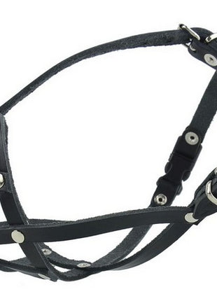 Champion Kaganiec skórzany dla buldoga francuskiego 1 [BF]