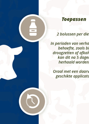 Direct Udder Support 4 x 60 g