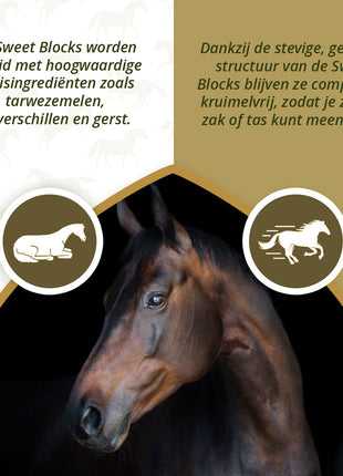 Excellent Horse Sweet Blocks Herbs