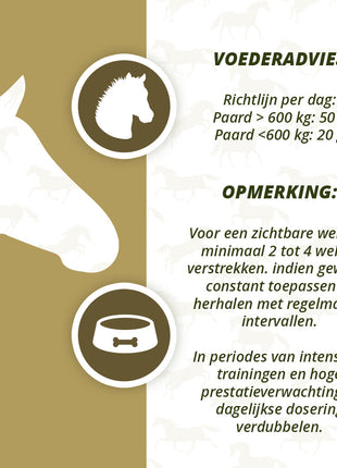 Excellent Horse Turbo