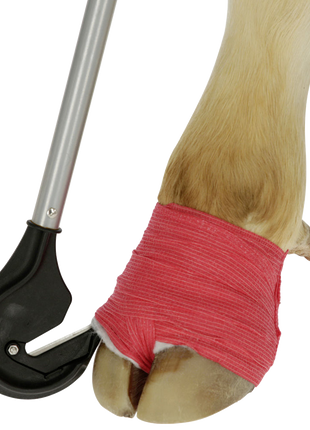 Klauwbandage snijder