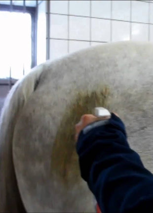 Excellent Horse Hi Gloss Clean Spray 500 ml