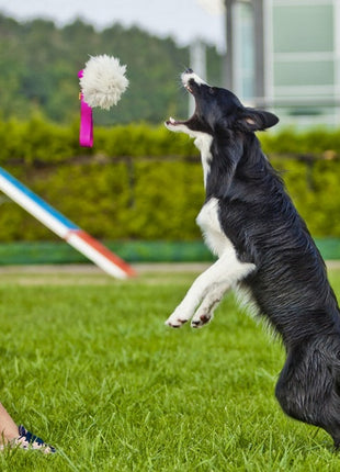 Dingo Zabawka dla psa - Szarpak Naturalne futro owcze bungee czarny