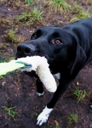 Dingo Zabawka dla psa - Szarpak Wełna owcza z rączką bungee zielony