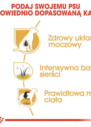 Royal Canin Miniature Schnauzer Adult karma sucha dla psów dorosłych rasy schnauzer miniaturowy 3kg